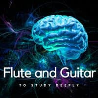 Flute And Guitar To Study Deeply