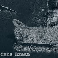 Cats Dream