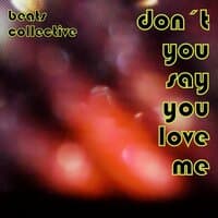 Don´t You Say You Love Me