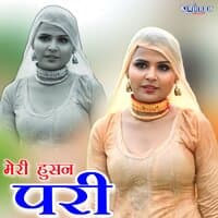 Meri Hussan Pari