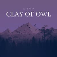 Clay Of Owl