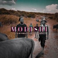 Modishi