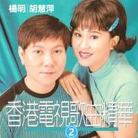 香港電視歌曲精華2