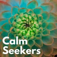 Calm Seekers, Vol. 3