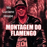 Montagem do Flamengo