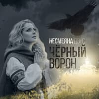 Чёрный ворон