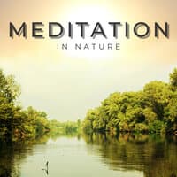 Meditation In Nature