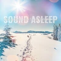 Sound Asleep: Relaxing Rustling Pine Needles Winter Ambience