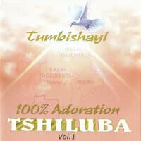 Tumbishayi