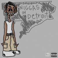 Nigg*S in Detroit