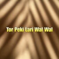 Tor Peki Lari Wal Wal