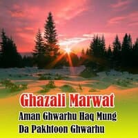 Aman Ghwarhu Haq Mung Da Pakhtoon Ghwarhu