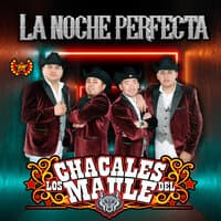 La Noche Perfecta