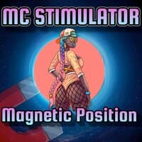 Magnetic Position