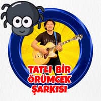 Tatlı Bir Örümcek Şarkısı