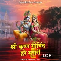 Shree Krishan Govind Hare Murari Lofi