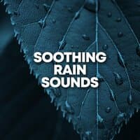 Soothing Rain Sounds