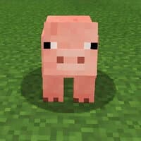 Pigs from Minecraft