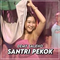 Santri Pekok