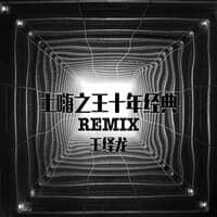 土嗨之王十年经典Remix