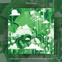 LOFI Collection, Stranger Beatz