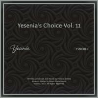 Yesenia's Choice, Vol. 11