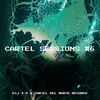 Cartel Sessions #6