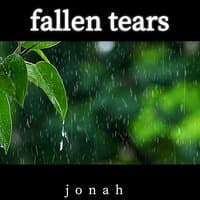 Fallen Tears