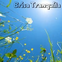 Brisa Tranquila