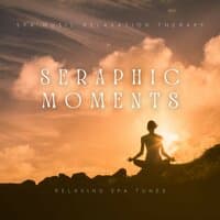 Seraphic Moments: Relaxing Spa Tunes