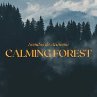 Calming Forest