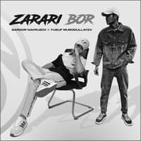 Zarari Bor