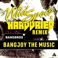 Bangjoy the Music