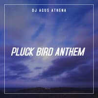 Pluck Bird Anthem