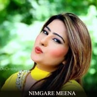 Nimgare Meena