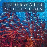 Underwater Meditation