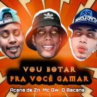 Vou Botar pra Você Gamar