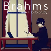 Brahms Piano Trio For Studying