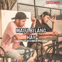 Malu Bilang Hay