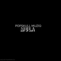 Mula