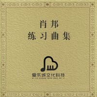 肖邦钢琴曲精选集 肖邦练习曲 古典钢琴曲歌单 世界经典古典音乐