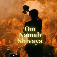 Om Namah Shivaya