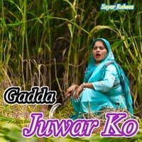 Gadda Juwar Ko