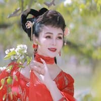 春风来梨花开