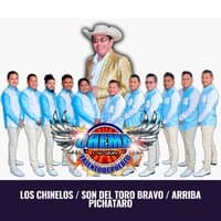 Los Chinelos / Son del Toro Bravo / Arriba Pichataro