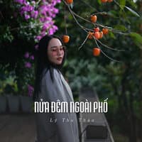 Nửa Đêm Ngoài Phố