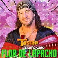 Flor de Lapacho