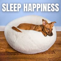 Sleep Happiness