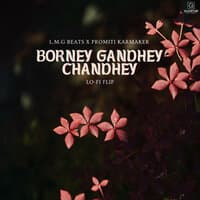 Borney Gandhey Chandhey