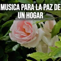 Musica para la paz de un hogar